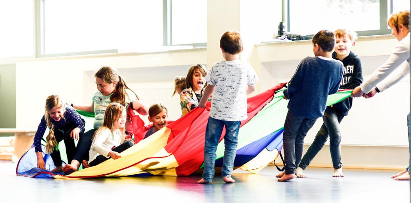 Bundesverband Psychomotorische Praxis Aucouturier e. V.